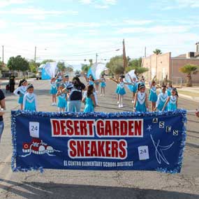 Desert Garden Sneakers